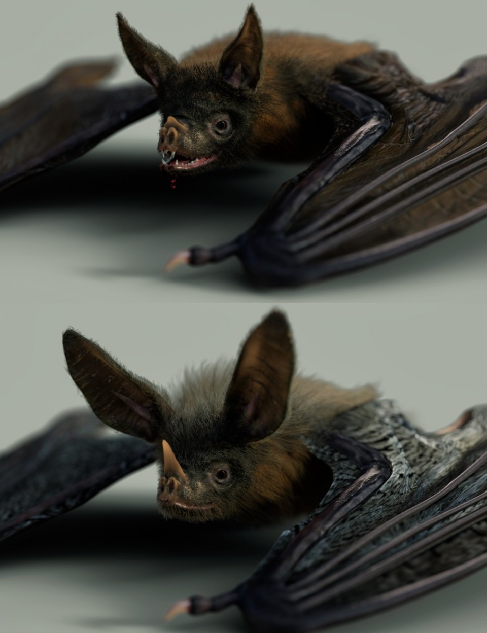 Vampire Bat By Am チスイコウモリモドキ Dazカテゴリ一覧